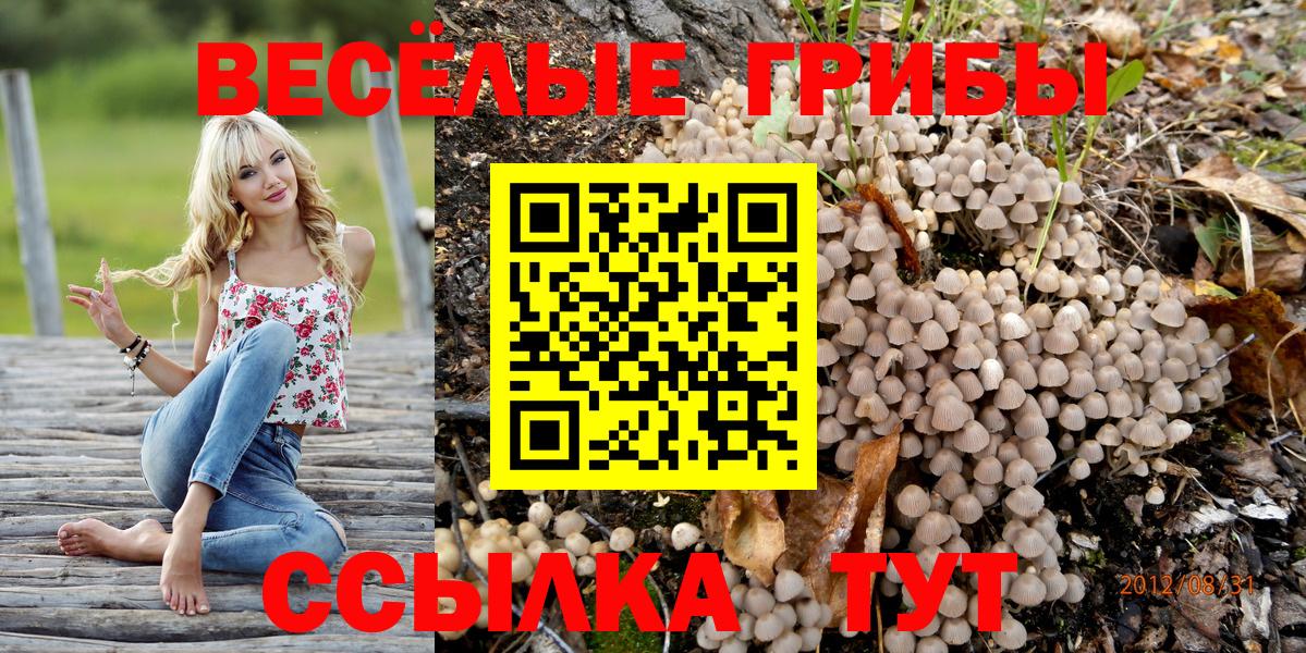Псилоцибиновые грибы Psilocybe  Псилоцибиновые грибы Magic Shrooms  Зерноград  Вход с VPN 